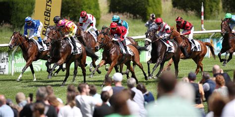 racebets de - Pferdewetten Online & Pferderennen Weltweit im Live Stream